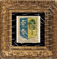 cadre-ancien-or-KESSLHER_Alsace, Armorial de France (Ch; d'Hozier, 1696-1710)._France