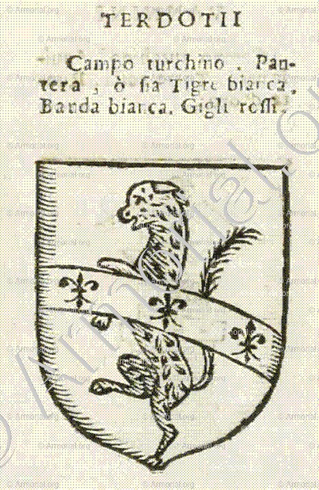 TERDOTTI_Forli, Romagna._Italia