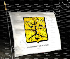 drapeau-BOSSCHAERT de BOUWEL_Anvers_Belgique