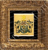 cadre-ancien-or-SINGEISEN_Wappenbuch der Stadt Basel . B.Meyer Knaus 1880_Schweiz 