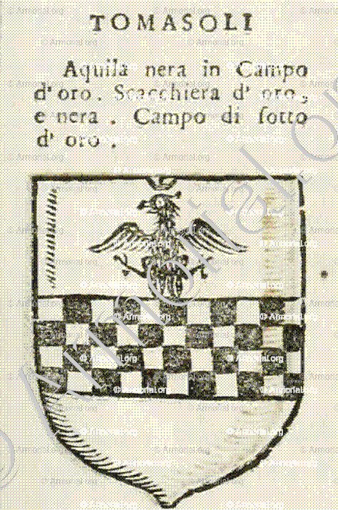 TOMASOLI_Forli, Romagna._Italia