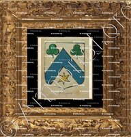 cadre-ancien-or-METZQUER_Alsace, Armorial de France (Ch; d'Hozier, 1696-1710)._France