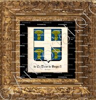 cadre-ancien-or-de LA NOUE de BOGARD_Bretagne_France (3)