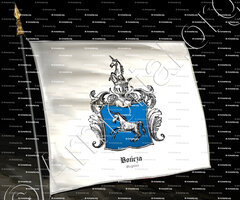 drapeau-BONCZA_Chlewiska, Wielkopolskie._Polska (0)