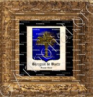 cadre-ancien-or-THEUGNOT de BROTTE_Franche-Comté_France (i)