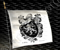 drapeau-de MILLY_Gâtinais, Anjou._France (1)