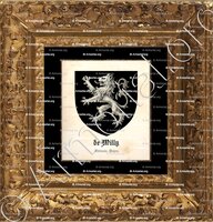 cadre-ancien-or-de MILLY_Gâtinais, Anjou._France (2)