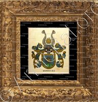 cadre-ancien-or-SONNTAG_ Wappenbuch der Stadt Basel . B.Meyer Knaus 1880_Schweiz. Suisse._modifié-1