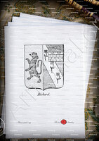 velin-d-Arches-RICHARD_Baron de l'empire, 1810 par Napoléon Ier_France (3)