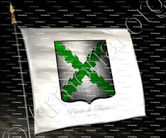 drapeau-PRIVAT du BUISSON_Lyon_France (i)