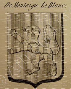 DE MONTAIGU LE BLANC