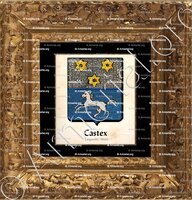 cadre-ancien-or-CASTEX_Languedoc, Alsace._France