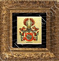 cadre-ancien-or-SPEISER_Wappenbuch der Stadt Basel . B.Meyer Knaus 1880_Schweiz 