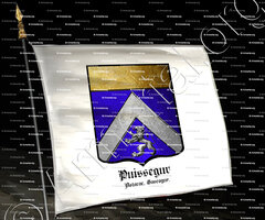drapeau-PUISSEGUR_Astarac, Gascogne_France (i)