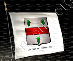 drapeau-MOTAIS de NARBONNE_La Réunion, Saint-Pierre 1781._France