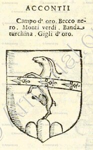 ACCONTI
