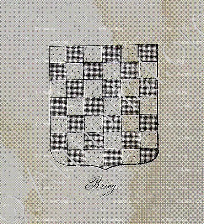 BRIEY_Lorraine_France (2)