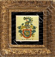 cadre-ancien-or-SPEYR_Wappenbuch der Stadt Basel . B.Meyer Knaus 1880_Schweiz 