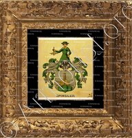 cadre-ancien-or-SPINDLER_Wappenbuch der Stadt Basel . B.Meyer Knaus 1880_Schweiz 