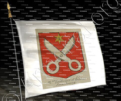 drapeau-STRASBOURG Tailleurs d'habits_Alsace, Armorial de France (Ch; d'Hozier, 1696-1710)._France