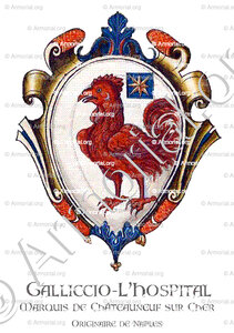 GALLICCIO L'HOSPITAL