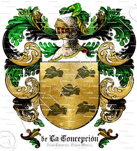De LA CONCEPCIÓN