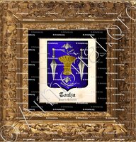 cadre-ancien-or-TOULZA_Pays de Toulouse_France