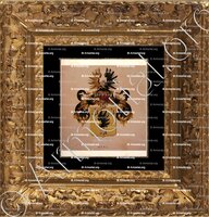 cadre-ancien-or-BERG_Wapenboek van den Nederlandschen Adel door J.B.Rietstap 1883 1887_Nederland