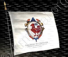 drapeau-GALLUCCIO de L'HOSPITAL_ Marquis de Châteauneuf sur Cher. Originaire de Naples_France Italia