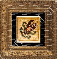 cadre-ancien-or-L'HÔPITAL_Fanion (1824). Conflans (Savoie), musée d'art et d'histoire._France