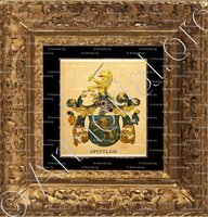 cadre-ancien-or-SPITTLER_Wappenbuch der Stadt Basel . B.Meyer Knaus 1880_Schweiz