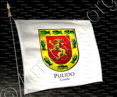 drapeau-PULIDO_Castilla_España (i)