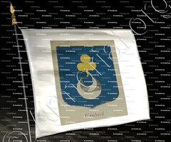 drapeau-UDALRICH_Alsace, Armorial de France (Ch; d'Hozier, 1696-1710)._France