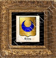 cadre-ancien-or-TIANEY_Toulouse_France