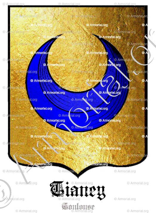 TIANEY_Toulouse_France