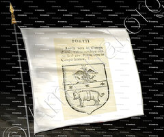 drapeau-PORTI_Forli, Romagna._Italia