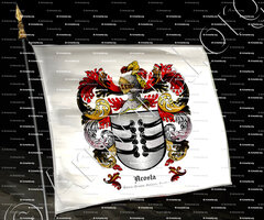 drapeau-ACOSTA_Galicia, Aragon, Cataluña, Castilla_España  (1)