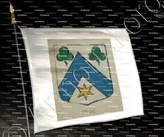 drapeau-ULRICH_Alsace, Armorial de France (Ch; d'Hozier, 1696-1710)._France