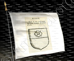 drapeau-RIARI_Forli, Romagna._Italia