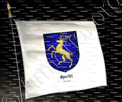 drapeau-SPARFEL (Le)_Bretagne_France  (2)