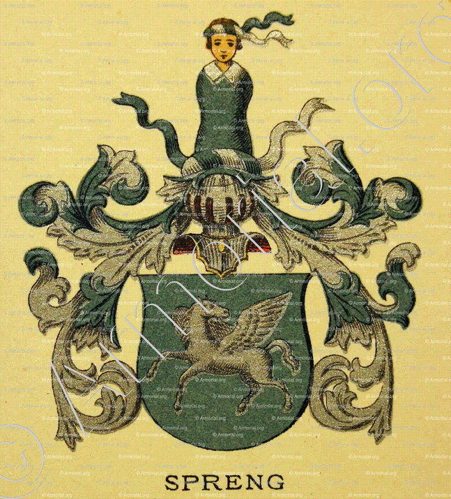 SPRENG_Wappenbuch der Stadt Basel . B.Meyer Knaus 1880_Schweiz 