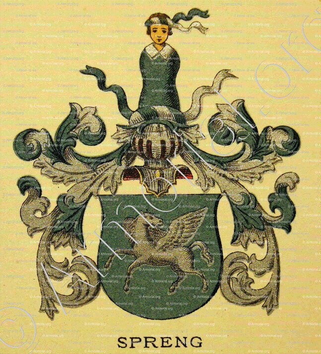 SPRENG_Wappenbuch der Stadt Basel . B.Meyer Knaus 1880_Schweiz 