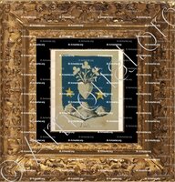 cadre-ancien-or-VOITE_Alsace, Armorial de France (Ch; d'Hozier, 1696-1710)._France
