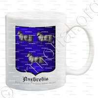 mug-AUXBREBIS_P. de Namur, P. de Liège, Cambraisis, Hollande - (An., 1666)._Belgique, Nederland
