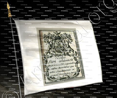 drapeau-ADAMOLI_Lombardia, Lione_Italia, Francia (2)