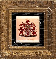 cadre-ancien-or-PASTEEL_Wapenboek van den Nederlandschen Adel door J.B.Rietstap 1883 1887_Nederland