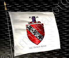 drapeau-NEC DEFICIT ALTER_Motto, Rodham_England