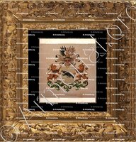 cadre-ancien-or-Van BEVERVOORDEN_Wapenboek van den Nederlandschen Adel door J.B.Rietstap 1883 1887_Nederland