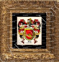 cadre-ancien-or-IDRAG_Condado de Astarac_Francia España (iii)