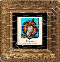 cadre-ancien-or-BUGLOSE_Gascogne, Albigeois, Languedoc._France